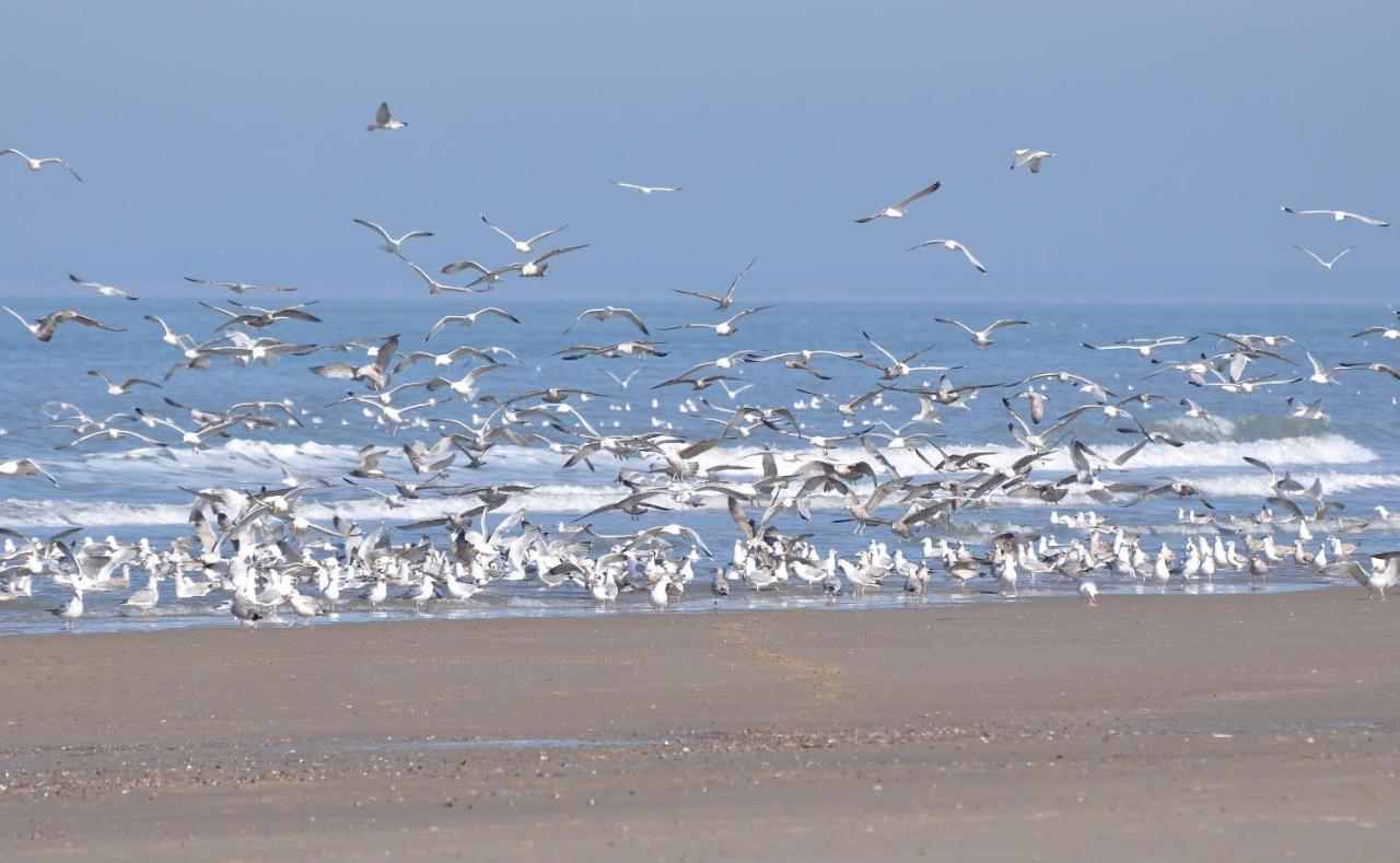 Vakantiewoning Seaside, Burgvliet 11 Oostkapelle Zewnętrze zdjęcie